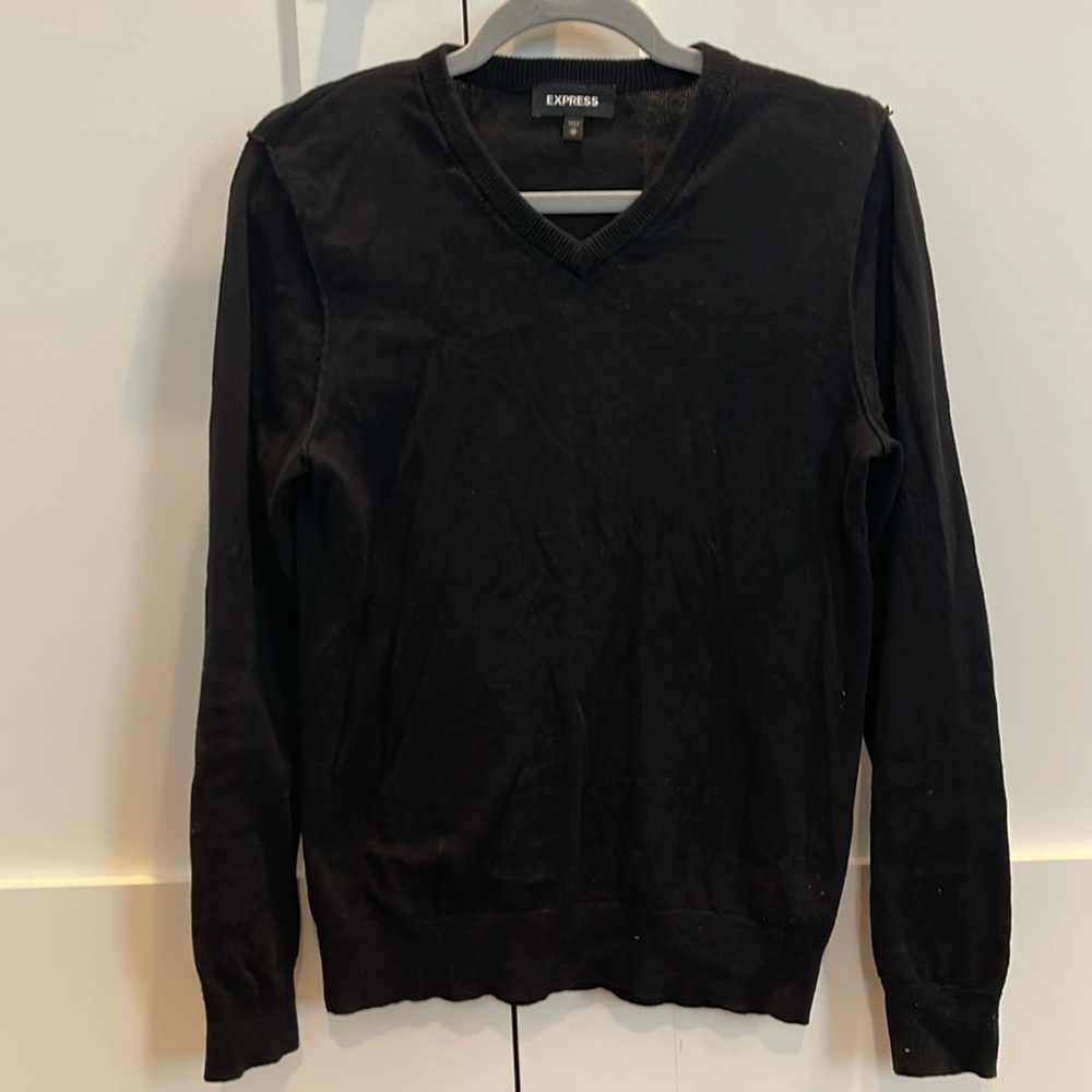 EXPRESS men’s vneck long sleeve sweater